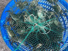 -蓝珊甄选海鲜自助·火锅大排档(近阿那亚店)
