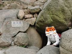-嵖岈山风景区