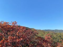 -北京西山国家森林公园