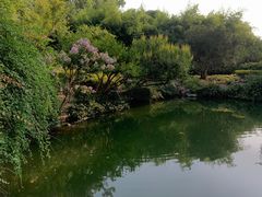 -汇龙潭