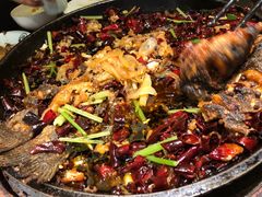 -老板恋上鱼(荣盛广场店)