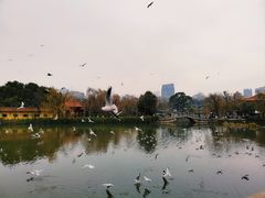 -翠湖公园