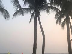 -糟粕醋·椰苑海南菜餐厅(亚龙湾天域酒店)