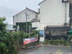 -老袁家蜜桃农场·阳山水蜜桃