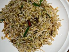 爆炒豆芽-鸽子窝(青塔店)