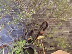 -曲廊院(东四十一条店)