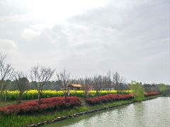 -柳鹭田园区