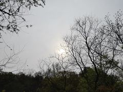 -西湖风景区-江洋畈生态公园