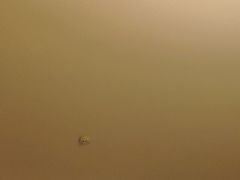 -上海尊茂酒店