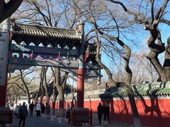 -北京国子监胡同