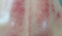 -艾宝贝产后修复中心(西红门店)