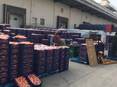 -东方鼎信农副产品交易中心