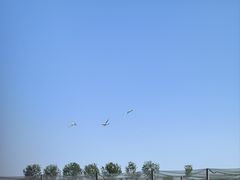 -盐城丹顶鹤湿地生态旅游区
