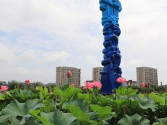 -海天湖公园