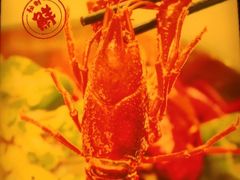 -聚味瞿记·龙虾堂(望城店)