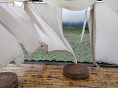 -腾冲北海湿地
