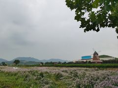 -君乐宝优致牧场