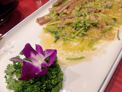 -鱼满舱·鲜活海鲜·正宗鲁菜