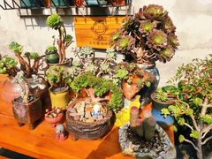 -又至园精品咖啡馆(将军塘店)