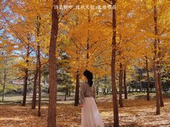 -森林公园(尖草坪区)