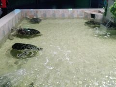 -常州海昌海洋探索馆