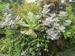 -凤来栖·净庭院·火锅(欧尚店)