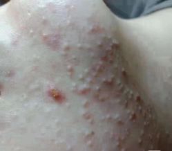 -Cream88颜皮肤管理中心