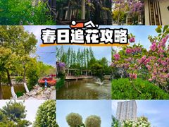 -郑和公园