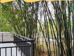 -平安（深圳）金融教育培训中心