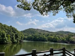 -白马涧龙池景区