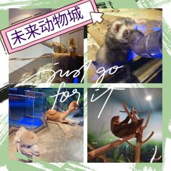 -未来动物城动物主题公园(大悦城店)