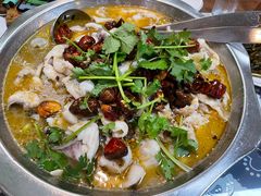 -何哥鲜鱼餐厅(龙湖花园店)