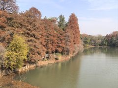 -东湖落雁景区