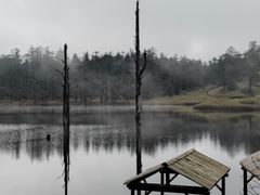 -瓦屋山景区