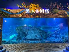 -太奥幻太奇海洋馆