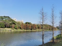 -怡海公园(桂城街道)