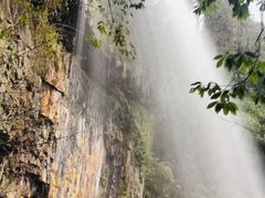 -龙苍沟森林公园
