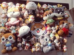 -逗柴咖啡屋·狗咖猫咖宠物桌游
