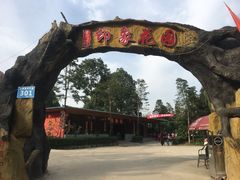 -白鹭湾湿地公园