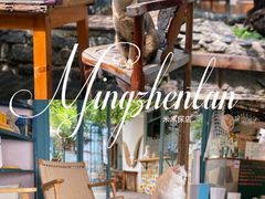 -喵屿·大理花园猫咖