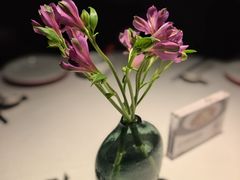 -许家菜(DT51店)