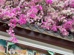 -深圳国际园林花卉博览园