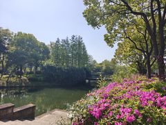 -尚贤河湿地