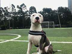 -深圳湾创业广场