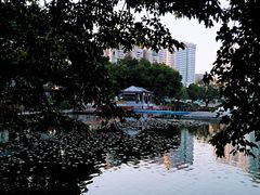 -荔湾湖公园