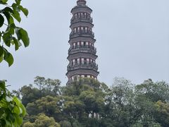 -顺峰山公园