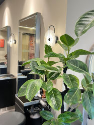 -凯博K-boom Hair Salon