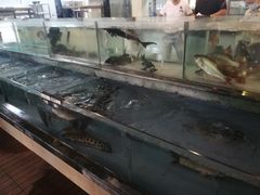 -七叔家宴家常广西菜(明秀东路店)
