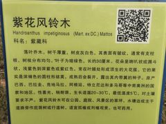 -大屏嶂森林公园
