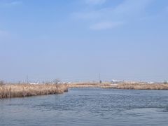-宁波杭州湾国家湿地公园
